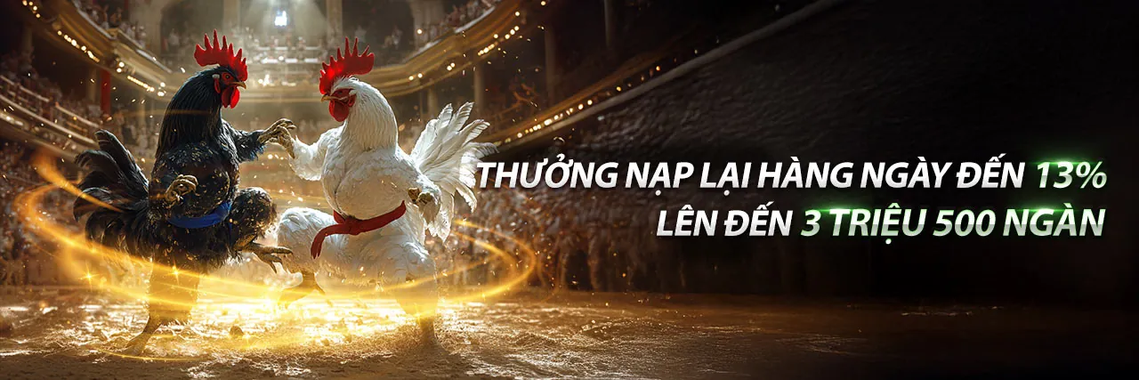 Chương trình VIP độc quyền của ev88vn