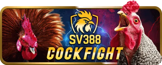 Hệ thống tường lửa và giám sát 24/7